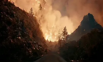 The Wildfire Has Been Put Out. What Other Applications Can Thermal Imaging Cameras Have Besides The Security Field?