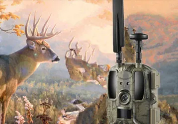 The AM-8 wildlife infrared trigger camera can maintain good performance in harsh